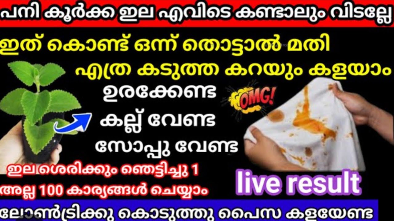 ഇത് കൊണ്ട് ഒന്ന് തൊട്ടാൽ മതി എത്ര വലിയ കറയും നിഷ്പ്രെയാസം കളയാം അറിയാതെ പോയല്ലേ/stainremoving ideas 