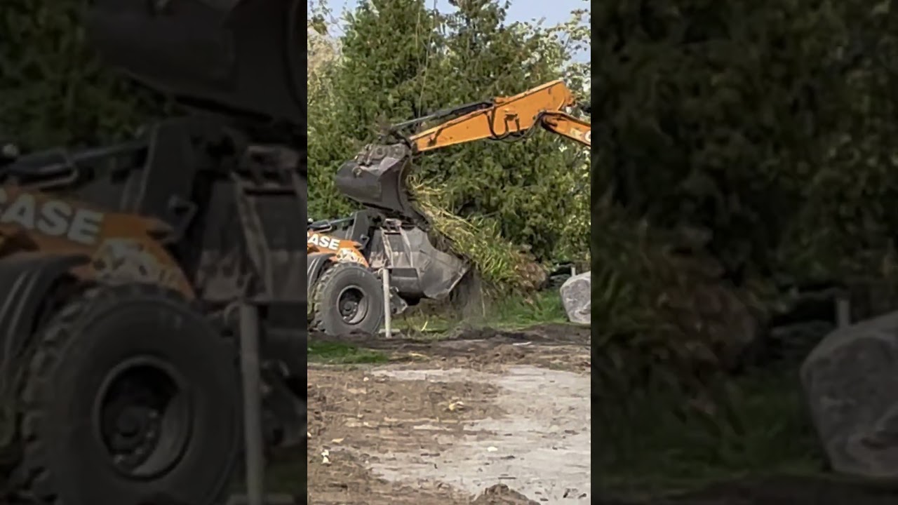 Weed eradication #canada #quebec#explorequebec #enjoycanada