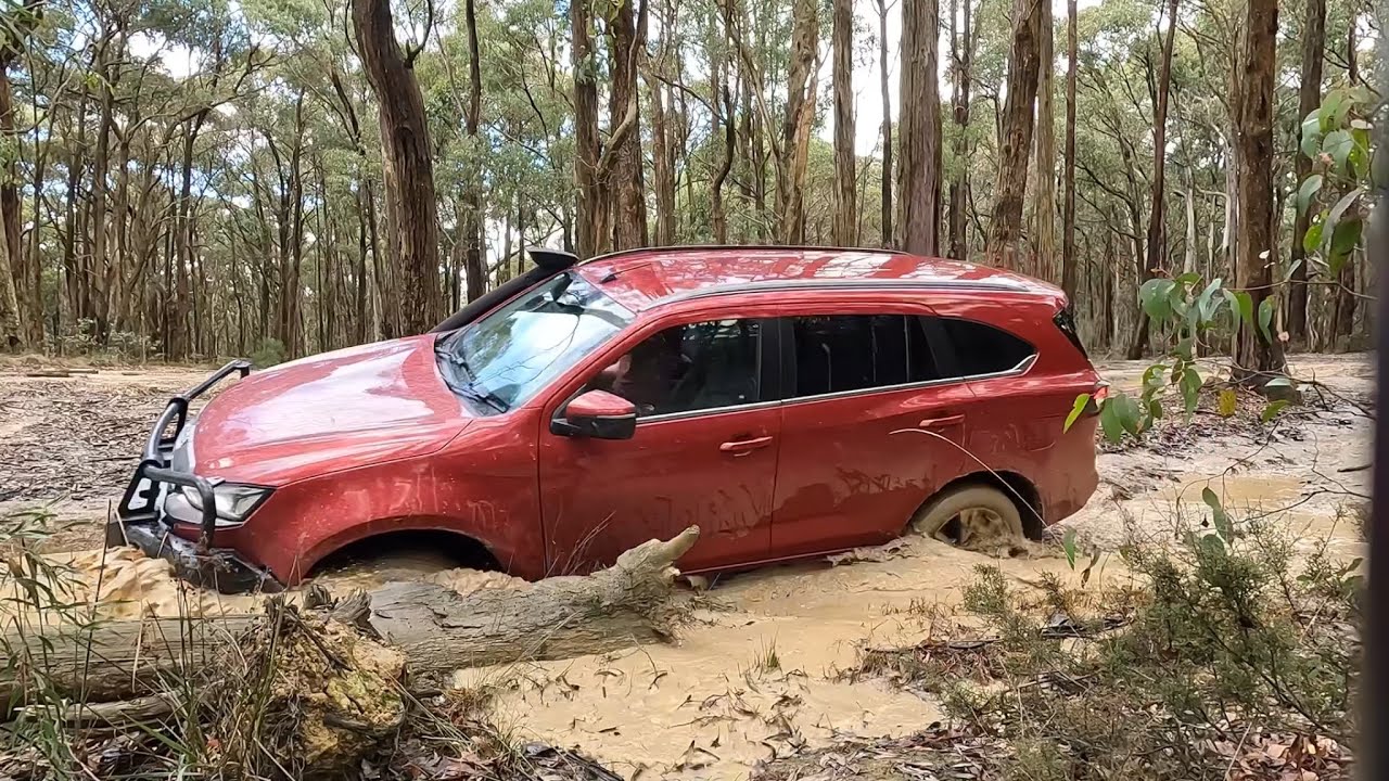 Wombat state forest with my son. Boys day out. 29th April 2023