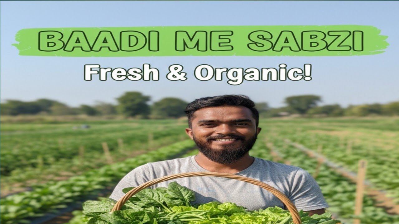 Baadi me sabji #viral sabji vala # sabji #