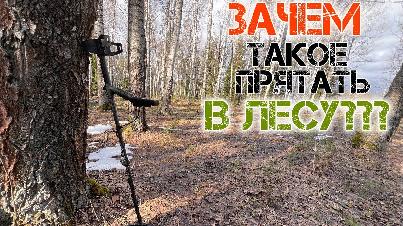 Зачем такое прятать в лесу? Первый коп с металлоискателем Nokta Legend!