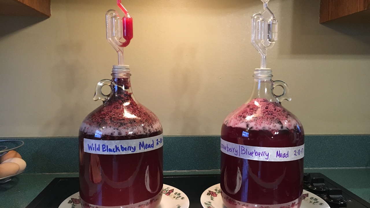 Making Blackberry Mead Melomel