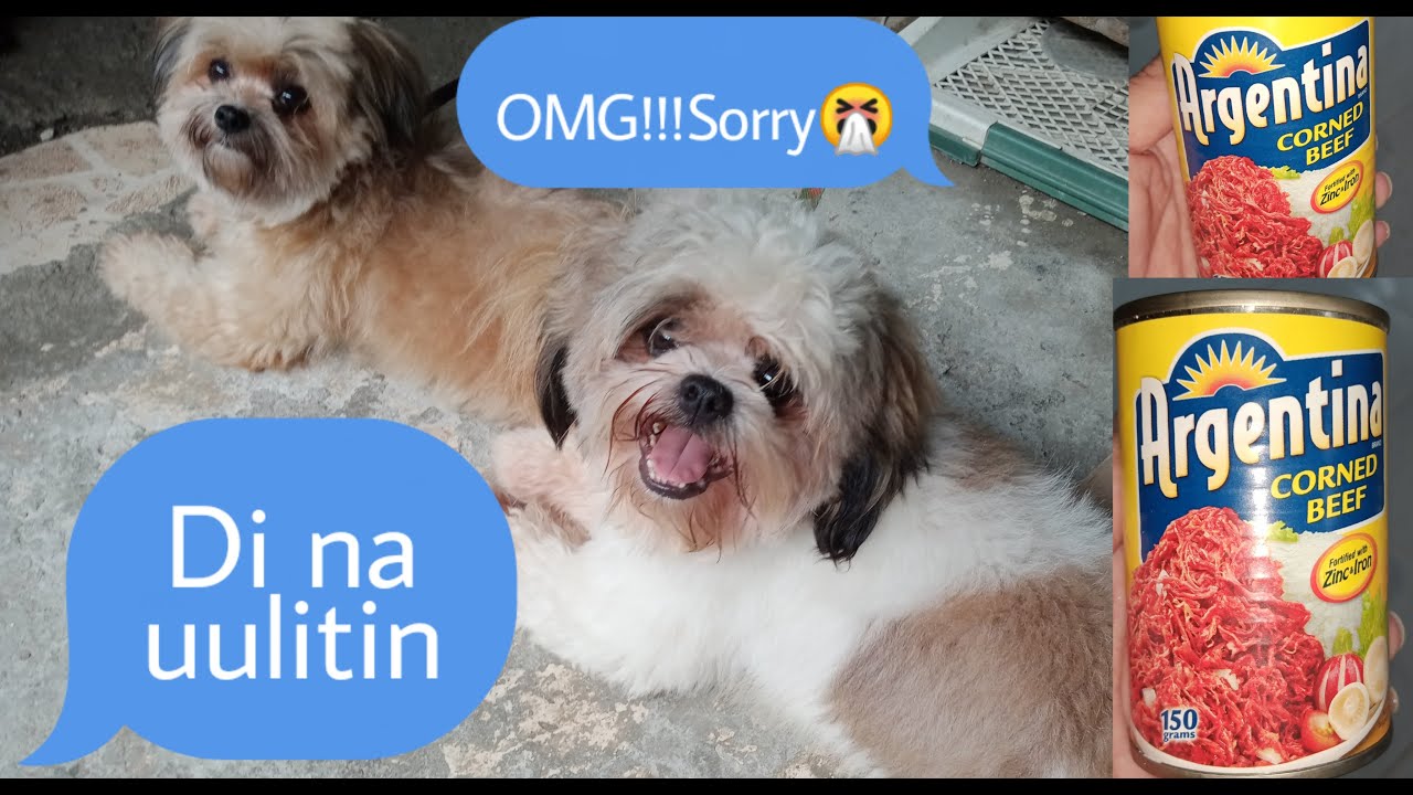 PWEDE BA SA ASO ANG CORNED BEEF/SANDY & PRINCE/MACARYA TV