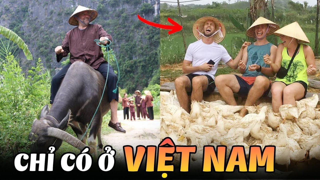 6 Thứ Siêu Đỉnh Siêu Độc Lạ Chỉ Có Ở Việt Nam Khiến Người Nước Ngoài Yêu Thích Nhất