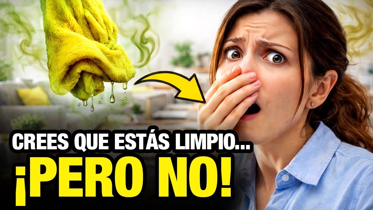 Por Qué Tu Casa LIMPIA Huele MAL 7 Razones Que NUNCA Imaginaste