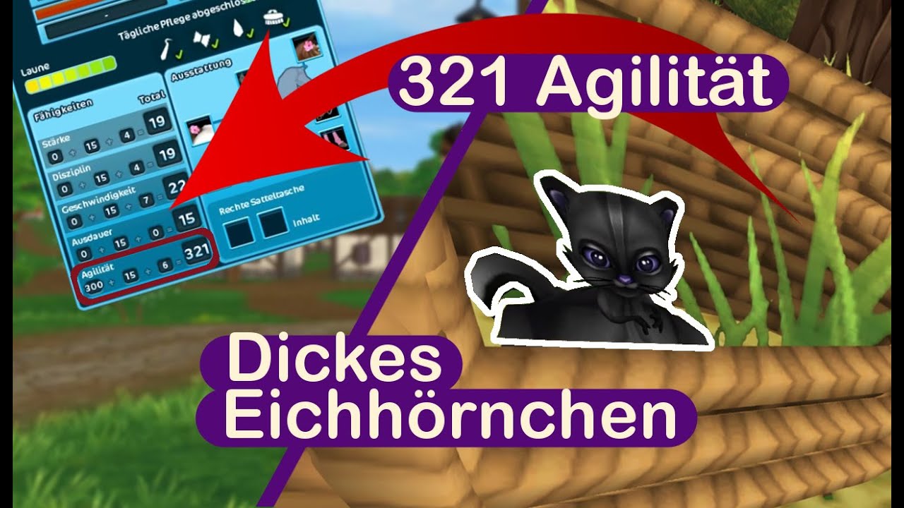 Reite mit über 300 Agilität! Und hole dir ein dickes Eichhörnchen als Haustier