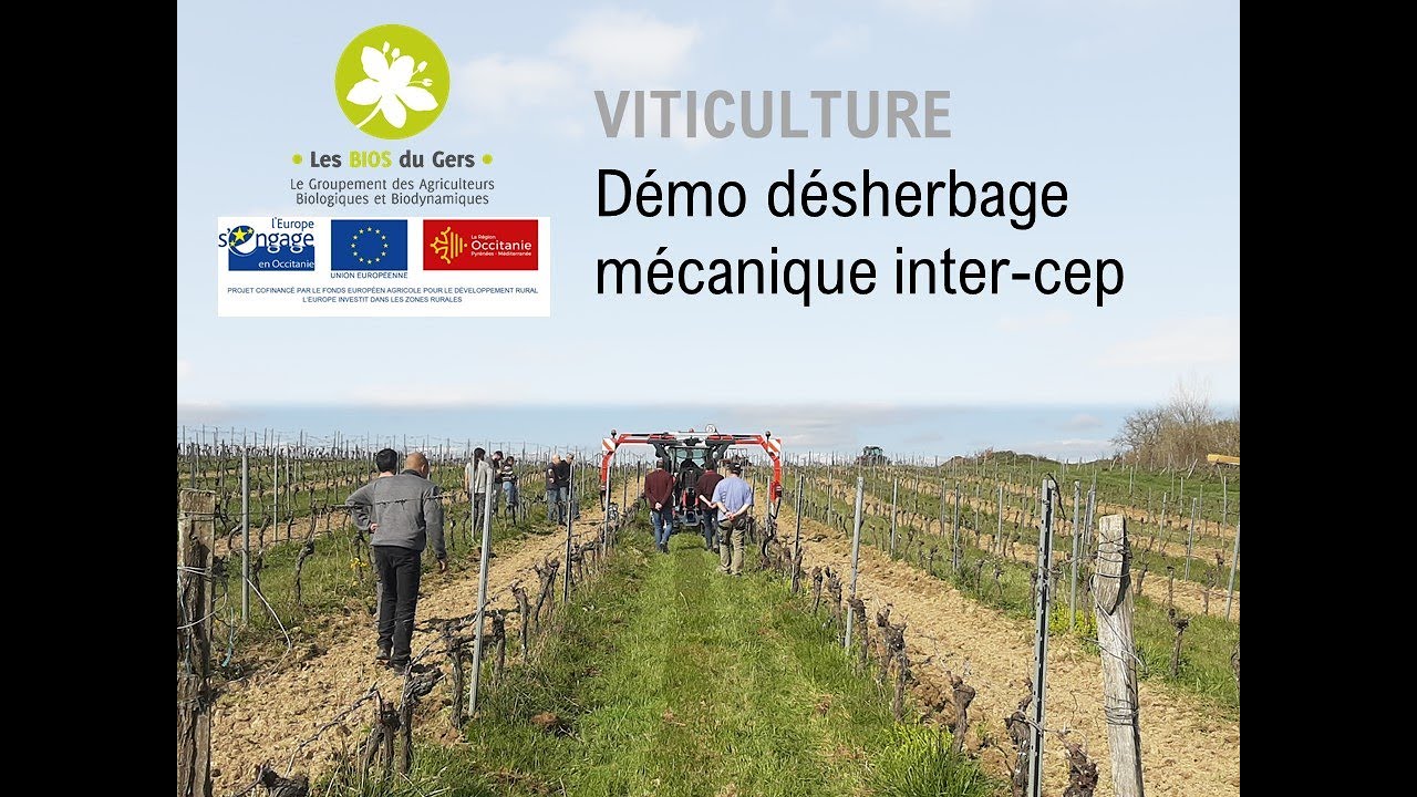 VITICULTURE: Désherbage Mécanique Inter-Cep