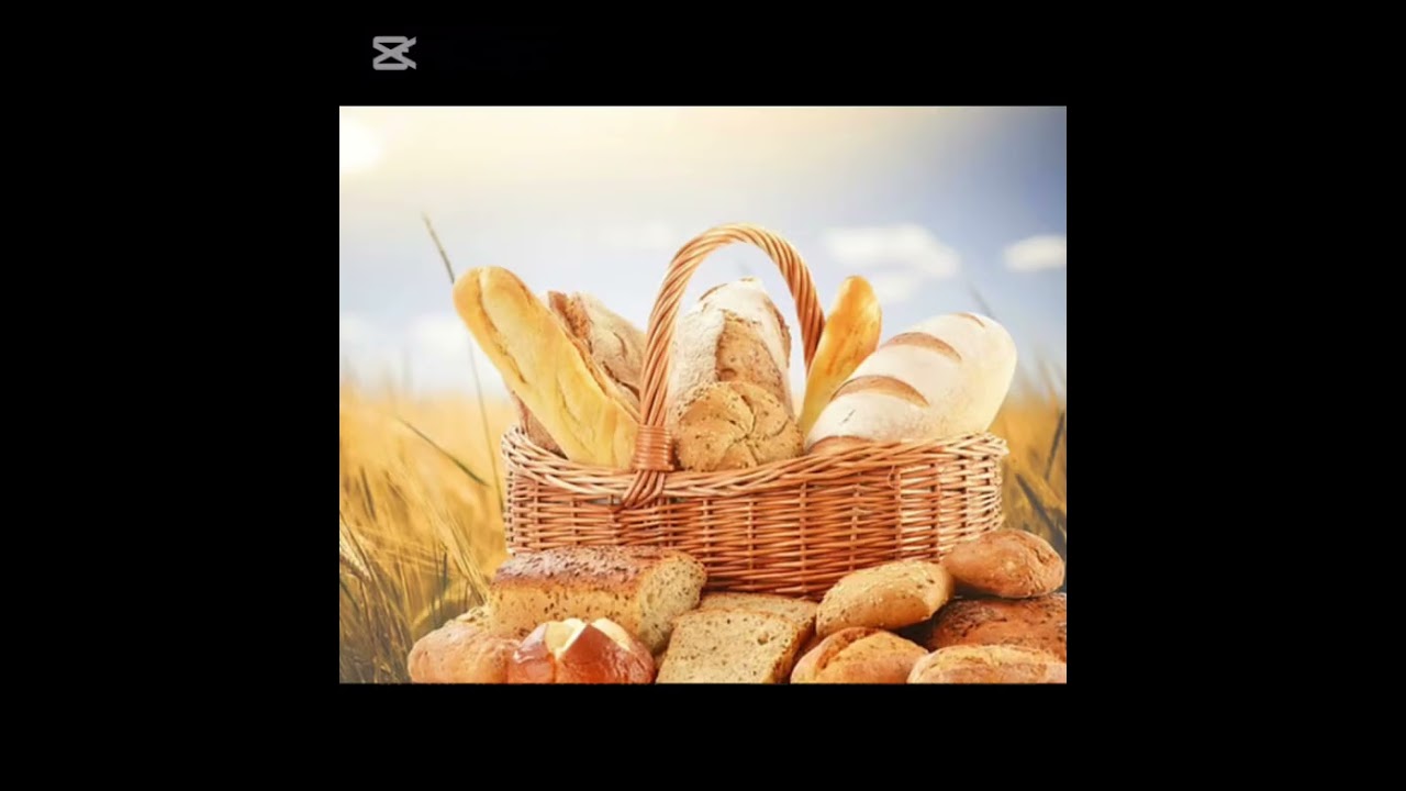 Adoration Spéciale : Toute la Bible en Musique [ fais des cantiques comme  David]