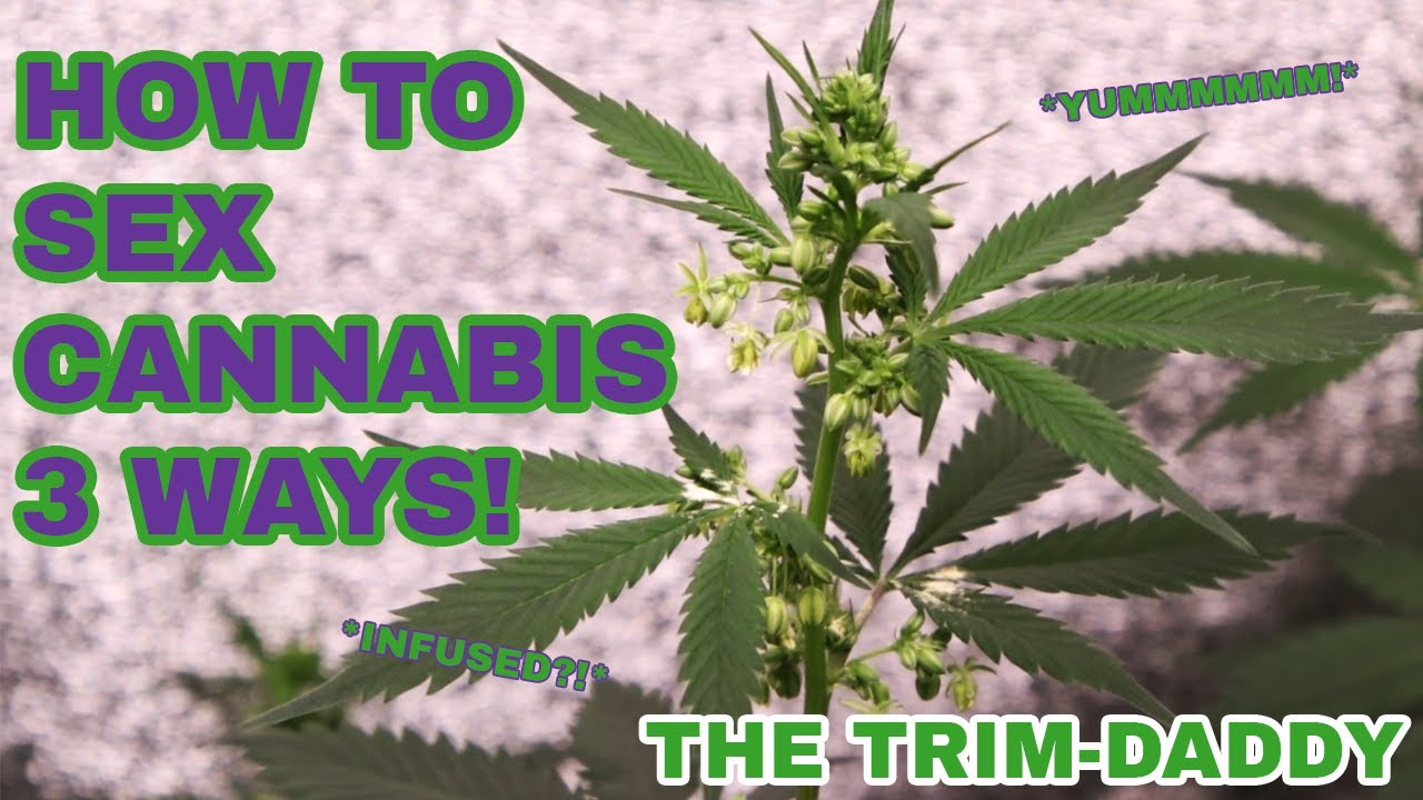 Identifying Your Plants as Male or Female: 3 Methods