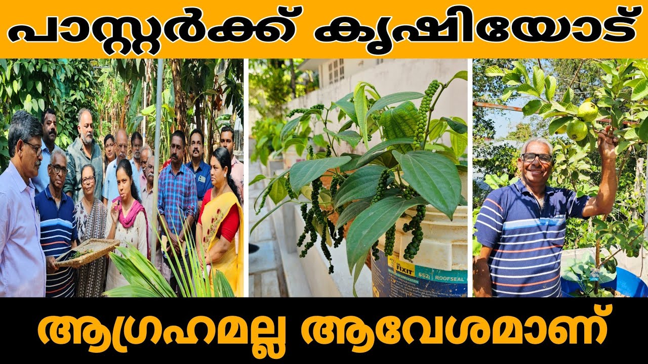 ഒരു പാസ്റ്റർക്ക് ഇങ്ങനെയൊക്കെ ചെയ്യാൻ പറ്റുമോ... | Can a pastor do something like this...