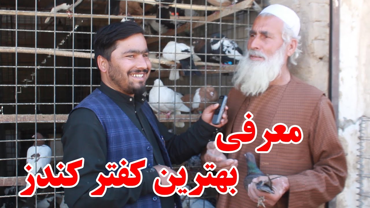 کفتر بازار کندز و بهترین کفتر این ولایت | ویژه برنامه شوقی برای شوقیان | انواع کفتر | افغانستان ما