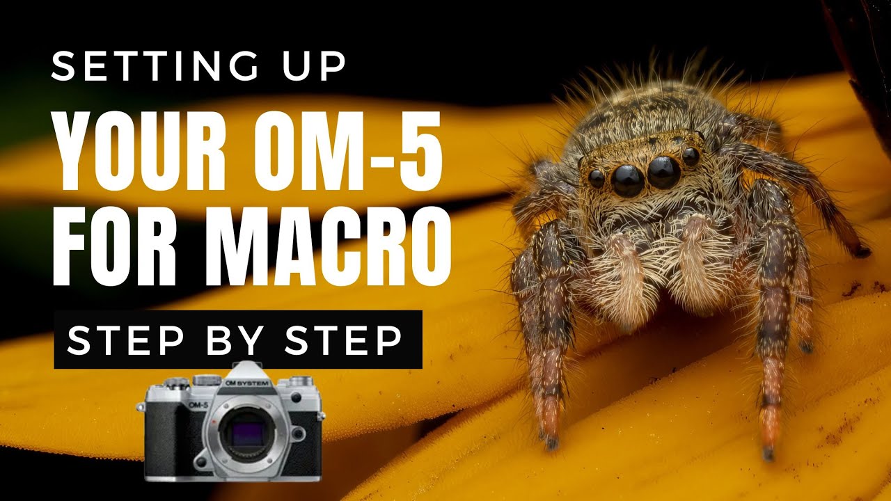 Setting up your OM-5 for macro