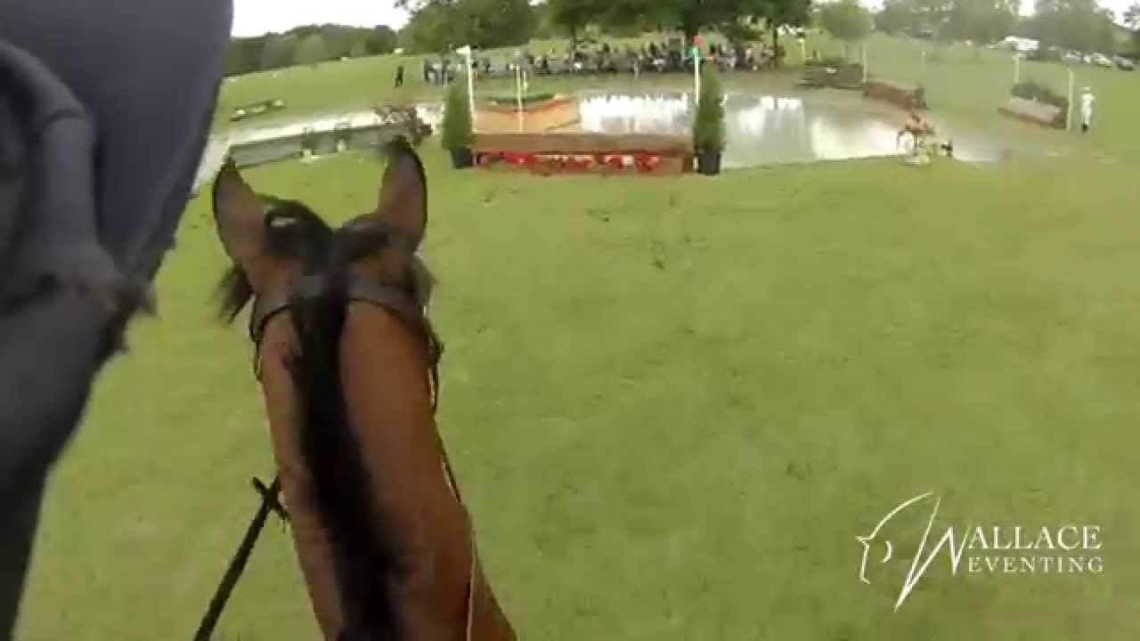 Helmet Cam - 2014 Ocala Horse Properties CCI*/** - Elisa Wallace & Corteo