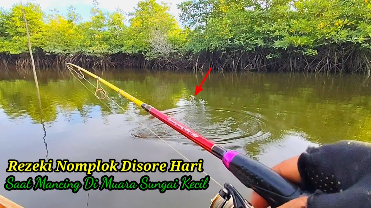 Rezeki Nomplok Di Sore Hari..!! Saat Mancing Di Muara Sungai Kecil