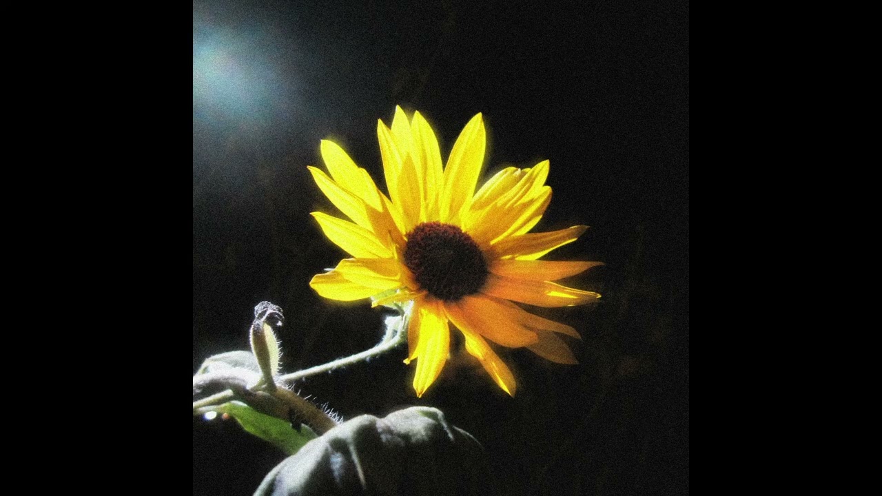 hyperpop guitar trap type beat | 