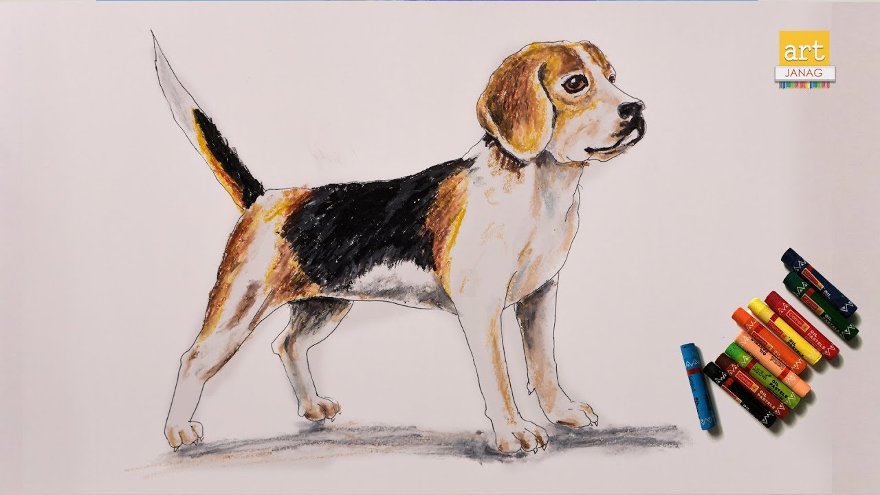 How to draw dog for kids II Draw Dog II By Art JanaG
