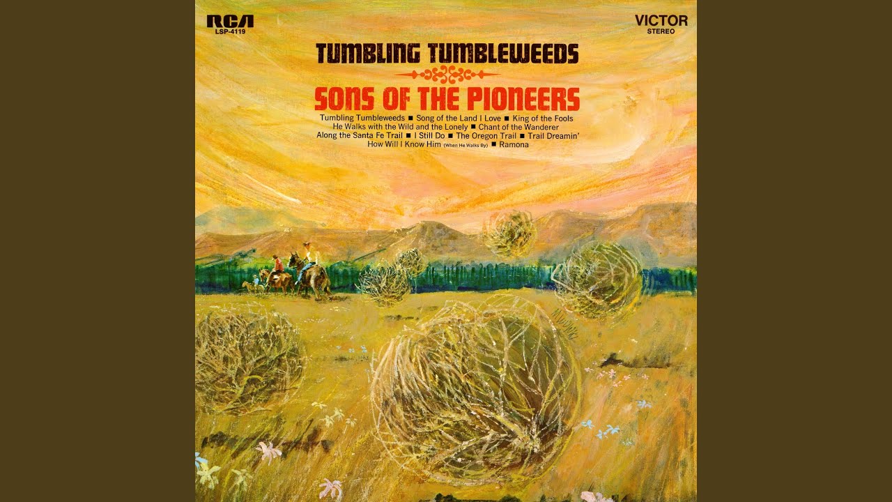 Tumbling Tumbleweeds