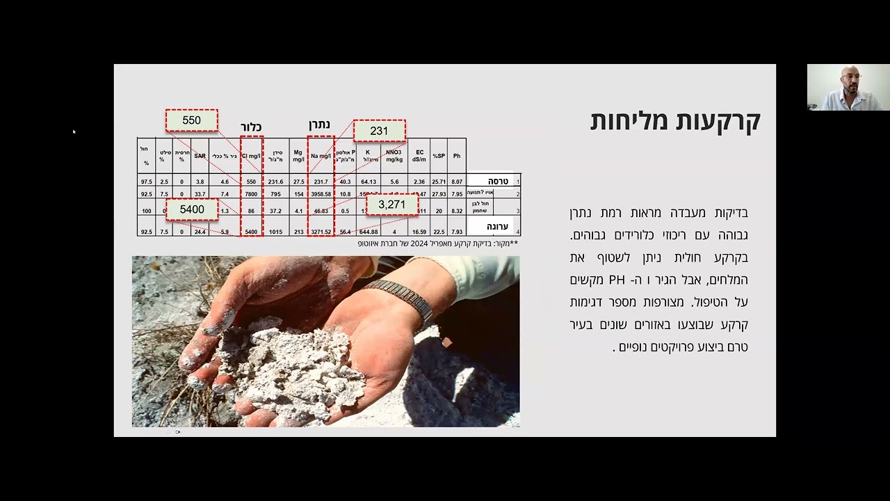וובינר 