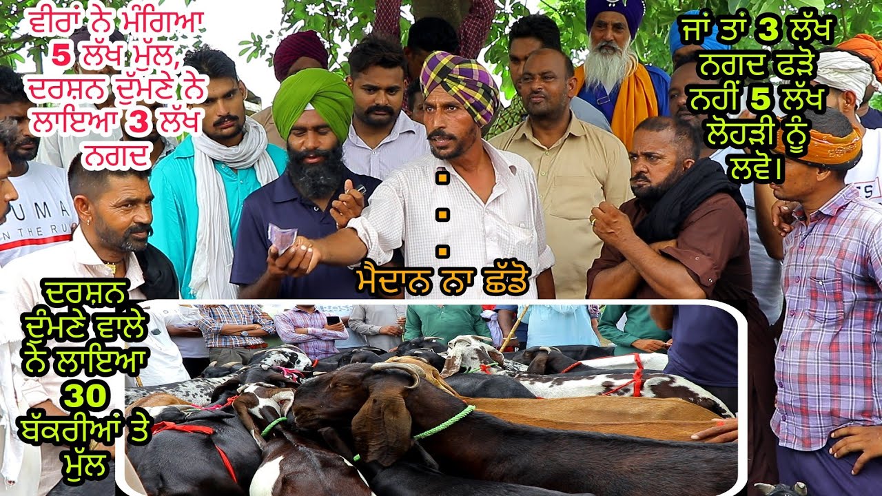 ਵਪਾਰੀਆਂ ਨੂੰ ਸਿਰੇ ਦੇ ਵਪਾਰੀ ਟੱਕਰ ਗਏ ਦੇਖੋ ਕੁੰਡੀਆਂ ਦੇ ਸਿੰਗ ਫਸੇ। @ILTILANATV #iltilanatv #goat