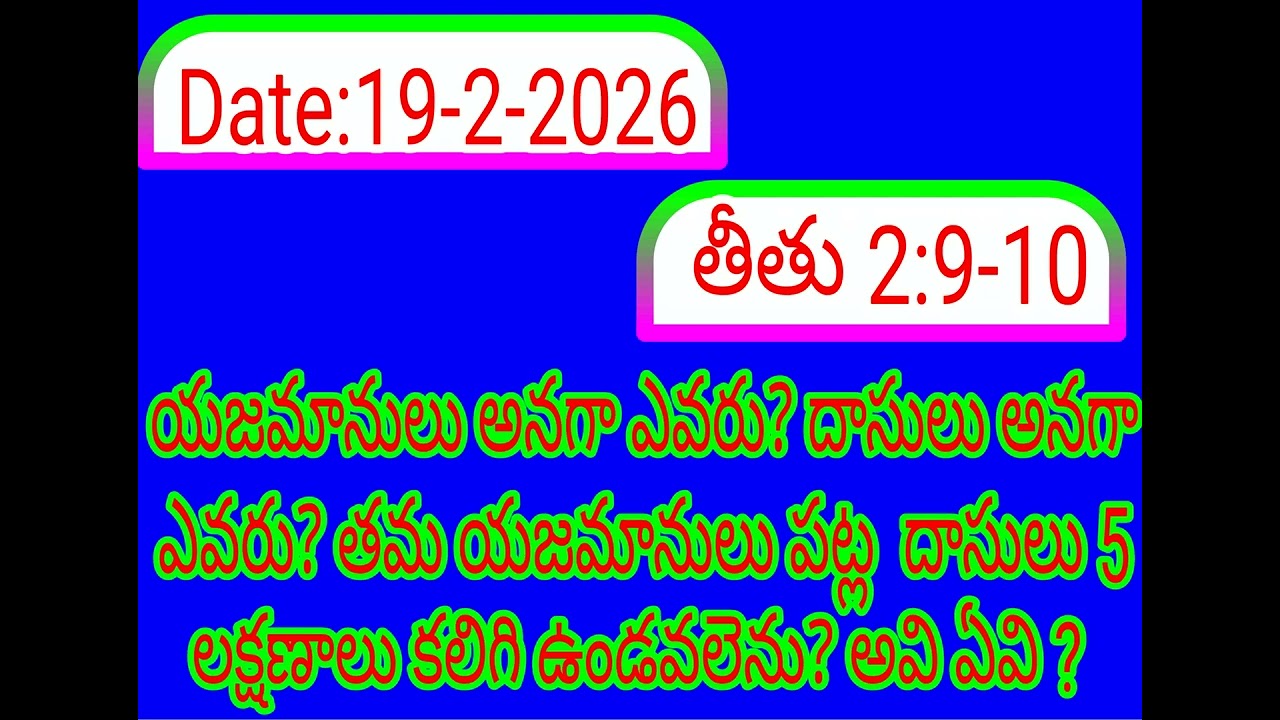 19 February 2026