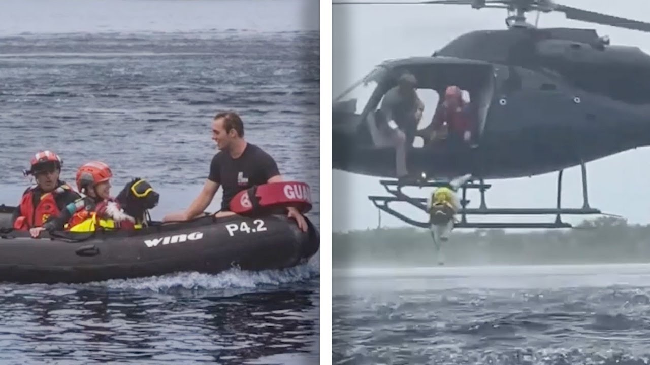 Brave Water Rescue Dog Jumps Out Of Helicopters To Save People