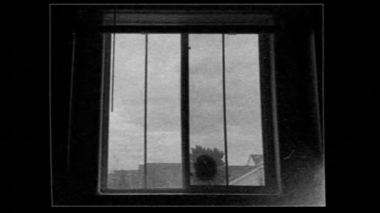 This Analog Horror Makes You TERRIFIED of Plants. | [Botanophobia]