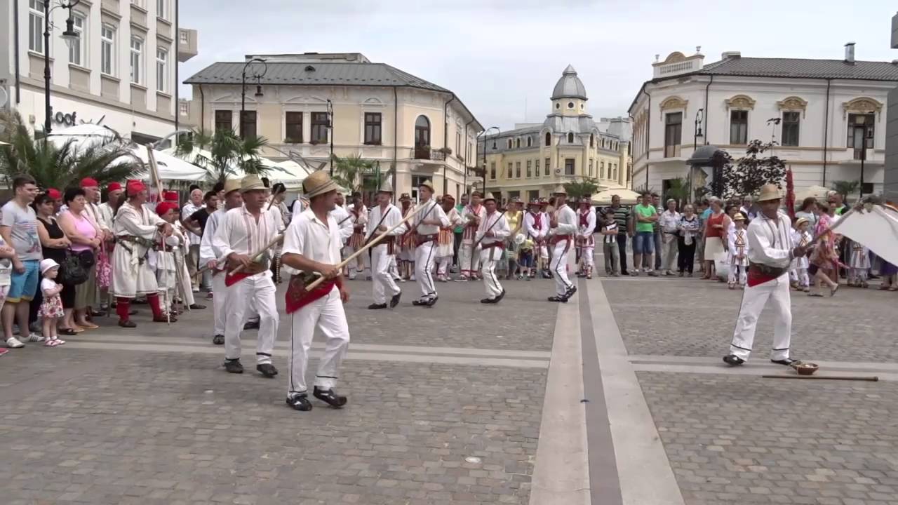 Căluș - Dabuleni (Dolj) - 2016