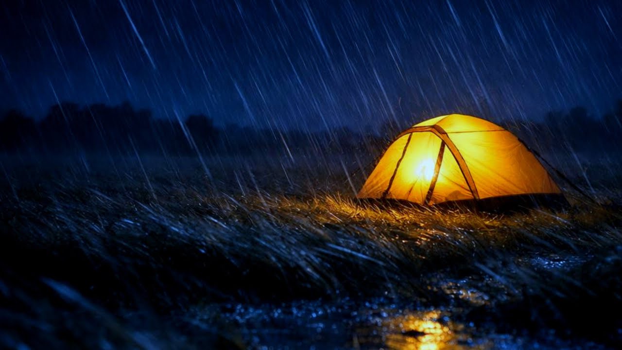 No Ads Rain Woodland Rain on a Tent Cozy Camping Ambience for Deep Sleep, Relaxation Tentfall