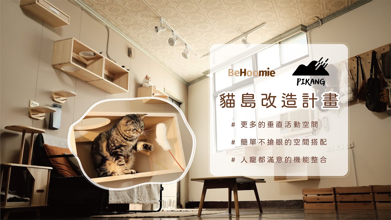 13隻貓 🐈 超高CP值的貓屋改造術！BeHoomie與皮康的貓島改造計畫🔥 | #空間設計 #室內設計 #寵物室內設計 #寵物空間設計 #貓跳台 #貓房設計 #貓走道 #牆上貓跳台
