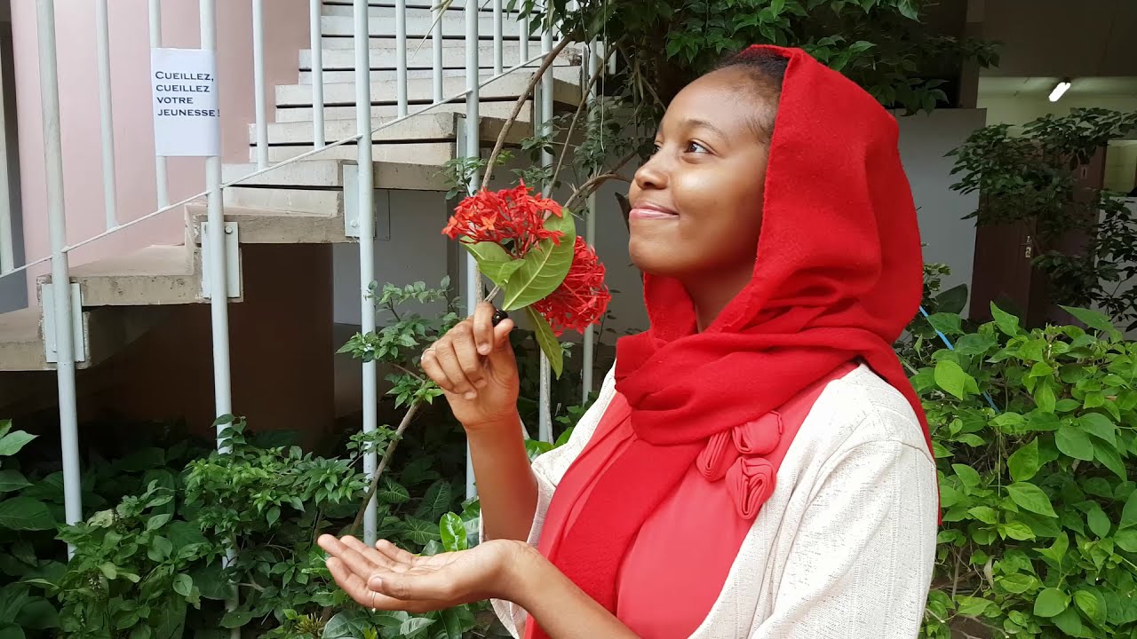 Lycée Montaigne N'Djamena - Jouons la littérature !