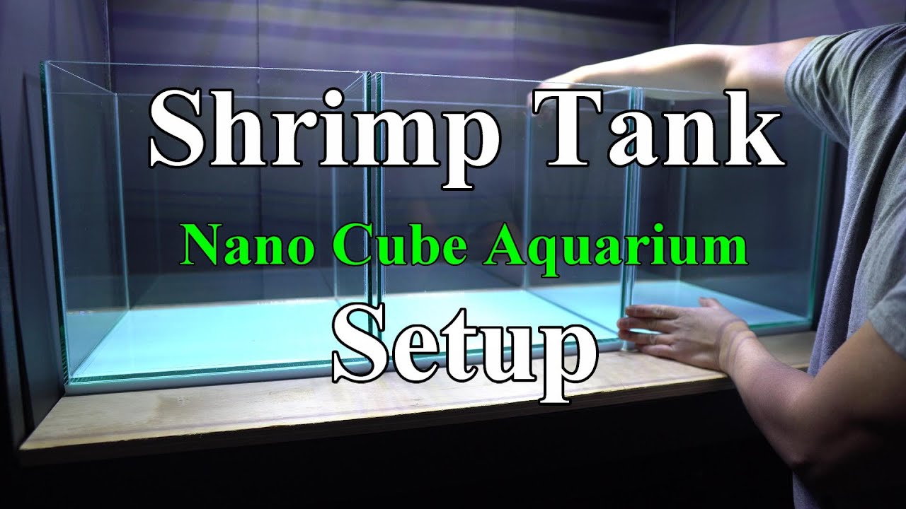 Shrimp Cube Aquarium Pt.1 | Nano Tank | Caridina Setup