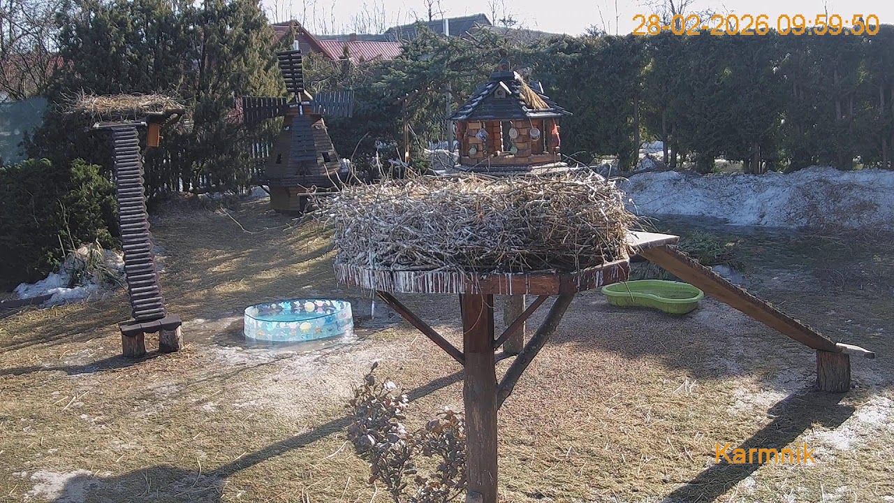 Gniazdo Bocianie pod Sokółką - 27 - 28.02.2026.