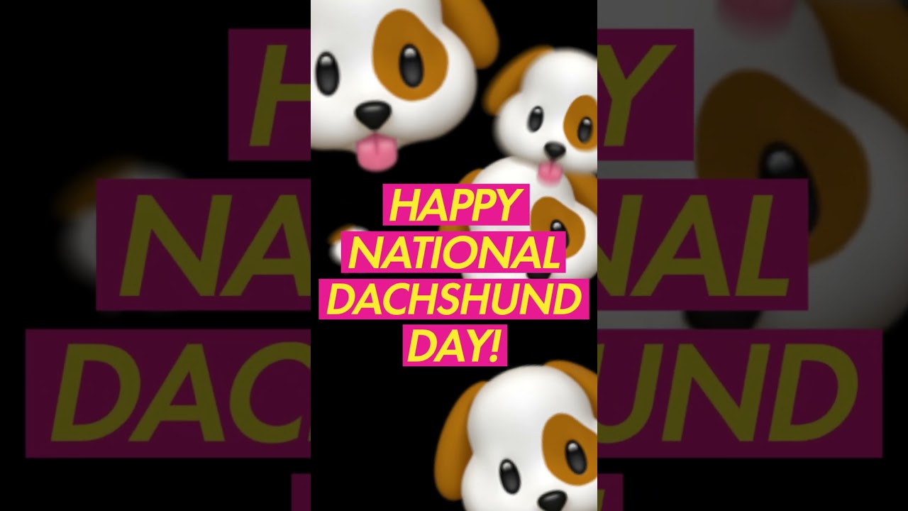 Happy #NationalDachshundDay 🐶🌭 #NoHardFeelings is Only In Cinemas NOW!