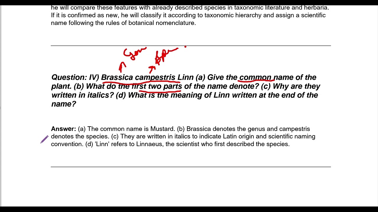 class 11th bio ch1 must watch important questions the living world