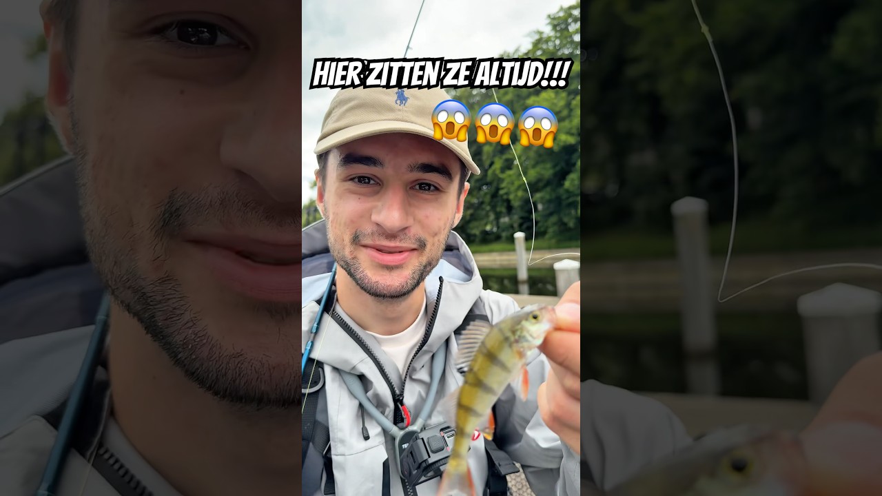 ZO VANG JIJ VEEL BAARS IN DE ZOMER!!! 😱😨