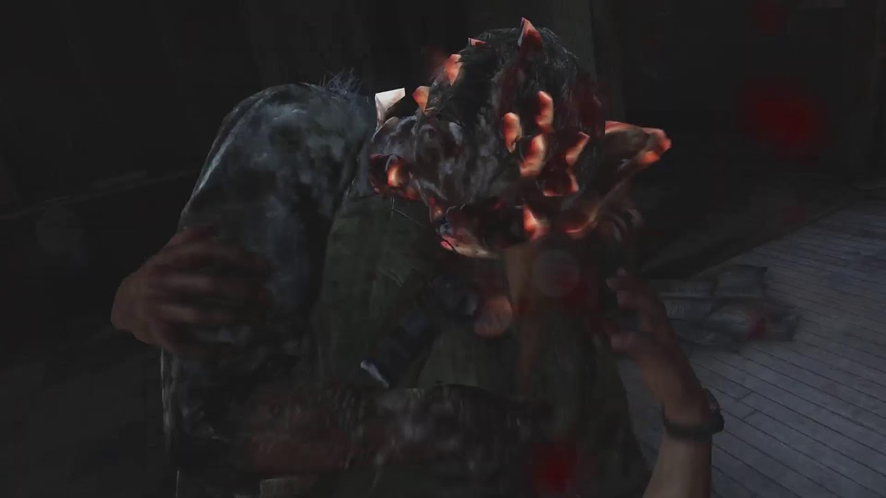The Last of Us