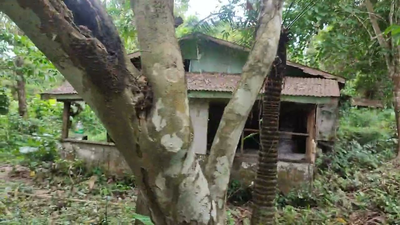 5.9 has tabing kalsada. tabing creek. Brgy banut pitogo Quezon. Clean title.