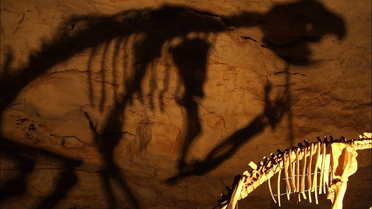 STRANGE KRYPTIDS FROM AUSTRALIA!