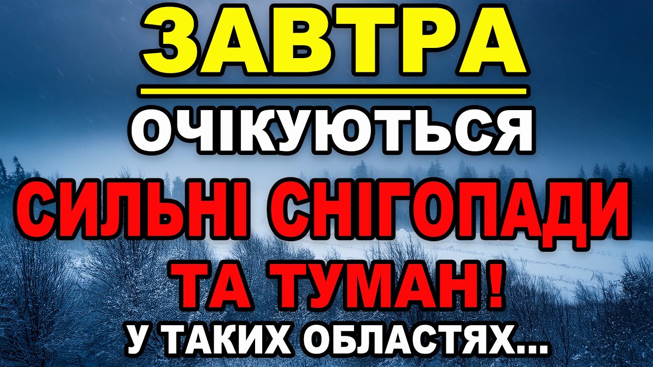 ОЧІКУЮТЬСЯ СИЛЬНІ СНІГОПАДИ ТА ТУМАН?! Прогноз погоди на 4 ЛЮТОГО