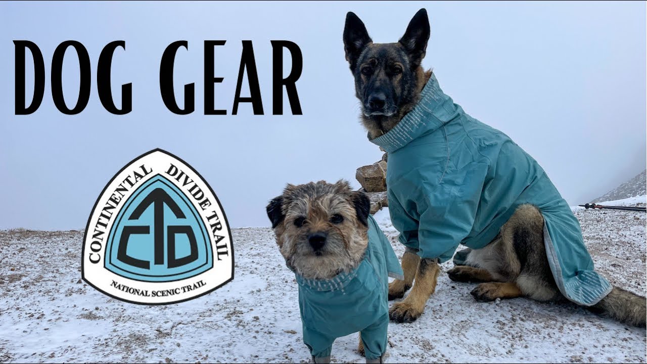 Gear I Used to Thru Hike With A Dog (or Two) on the Continental Divide Trail