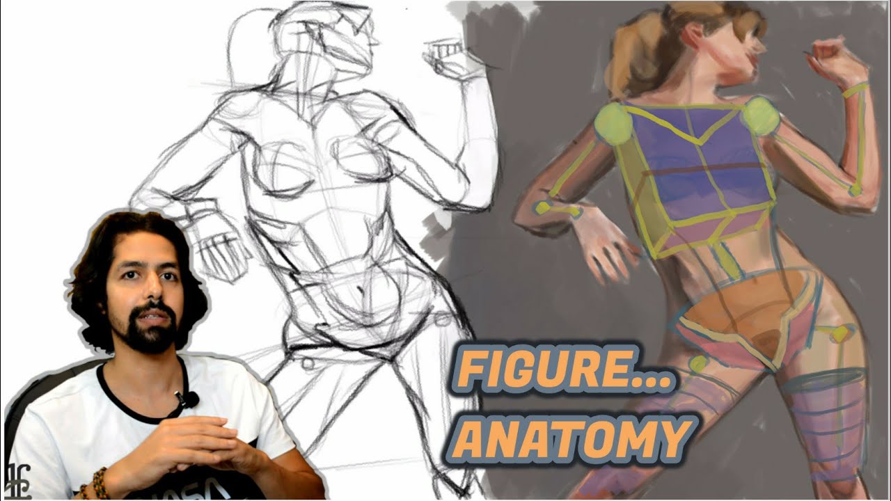 بناء ورسم جسم الانسان | Figure Drawing Anatomy