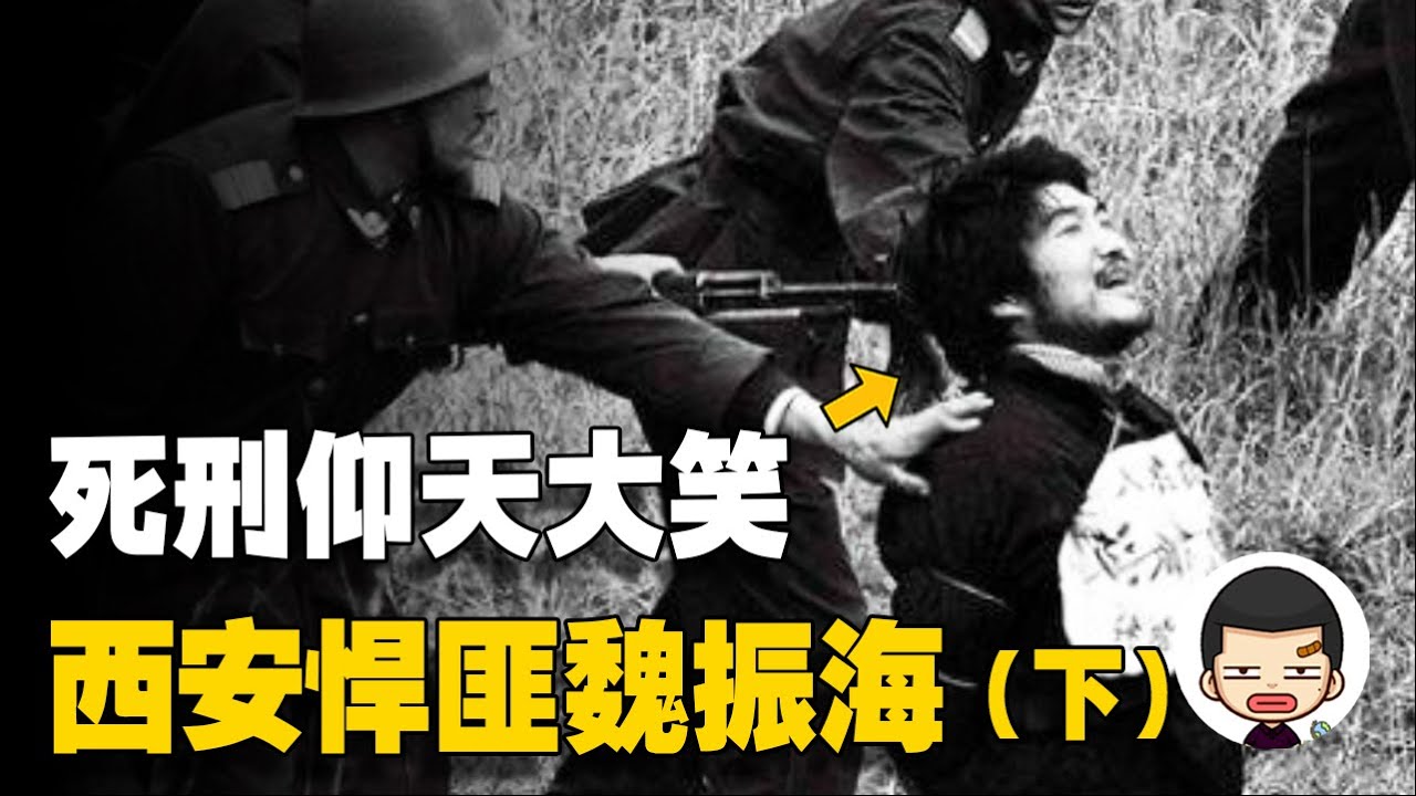 被&ldquo;豬隊友&rdquo;坑慘，死刑前仰天大笑，西安悍匪魏振海（下）|英大吉