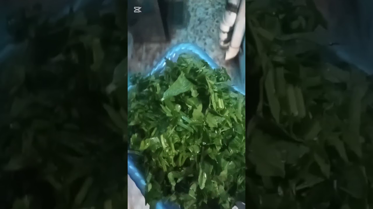 روتيني اليومي