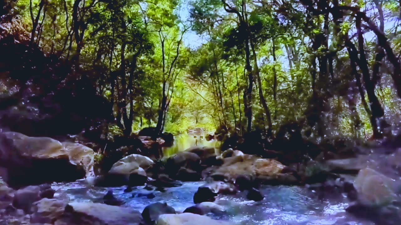 Beautiful nature view //whatsapp status// feeling 😌