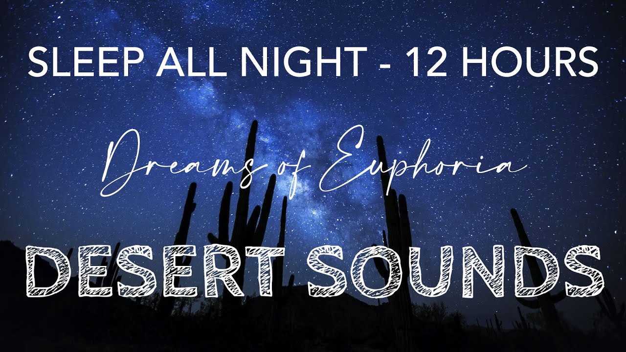DESERT SOUNDS - 12 HOURS. Crickets, wind, coyotes. Sleep all night.