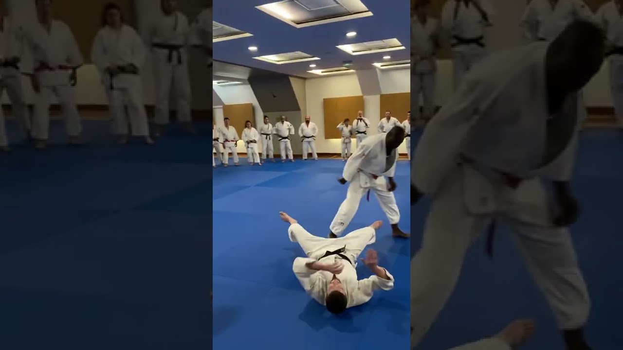 Darcel Ko-Uchi