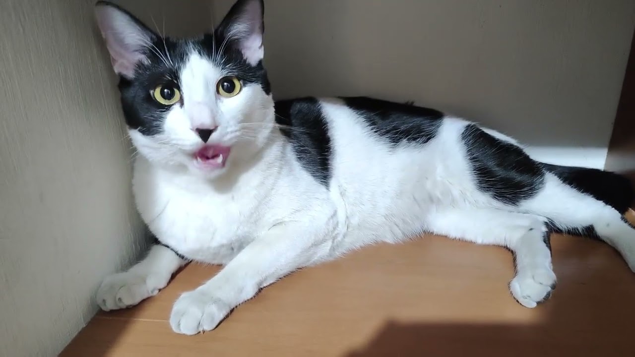 Fede invade mi clóset