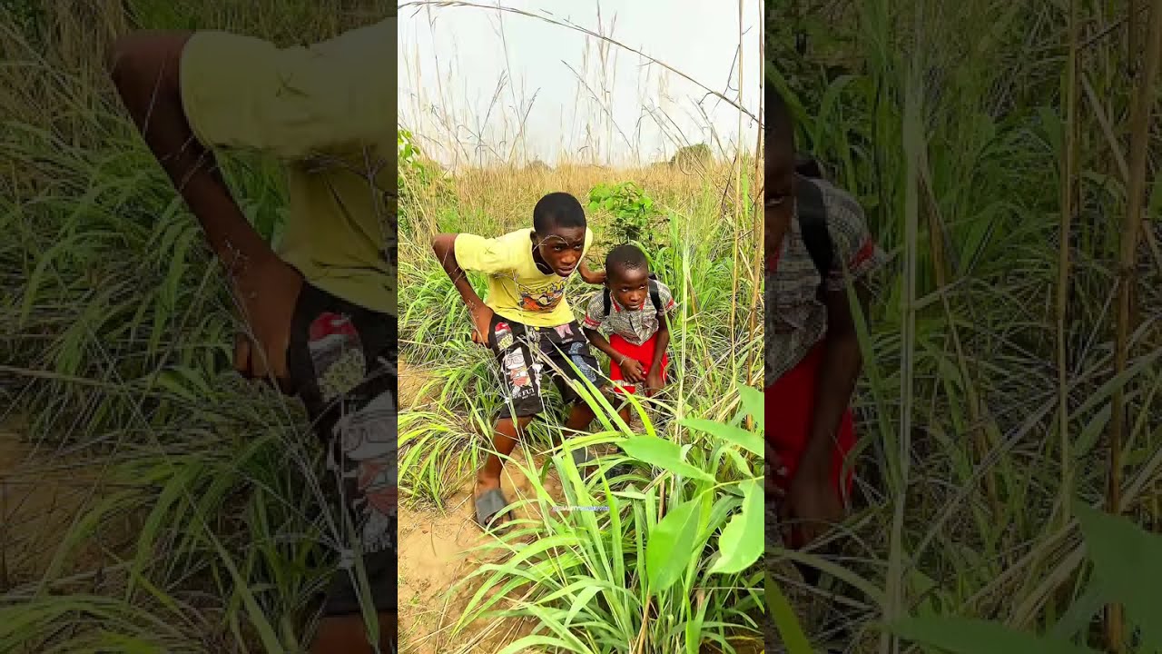 The impossible mission. #trending #funny #viralvideo