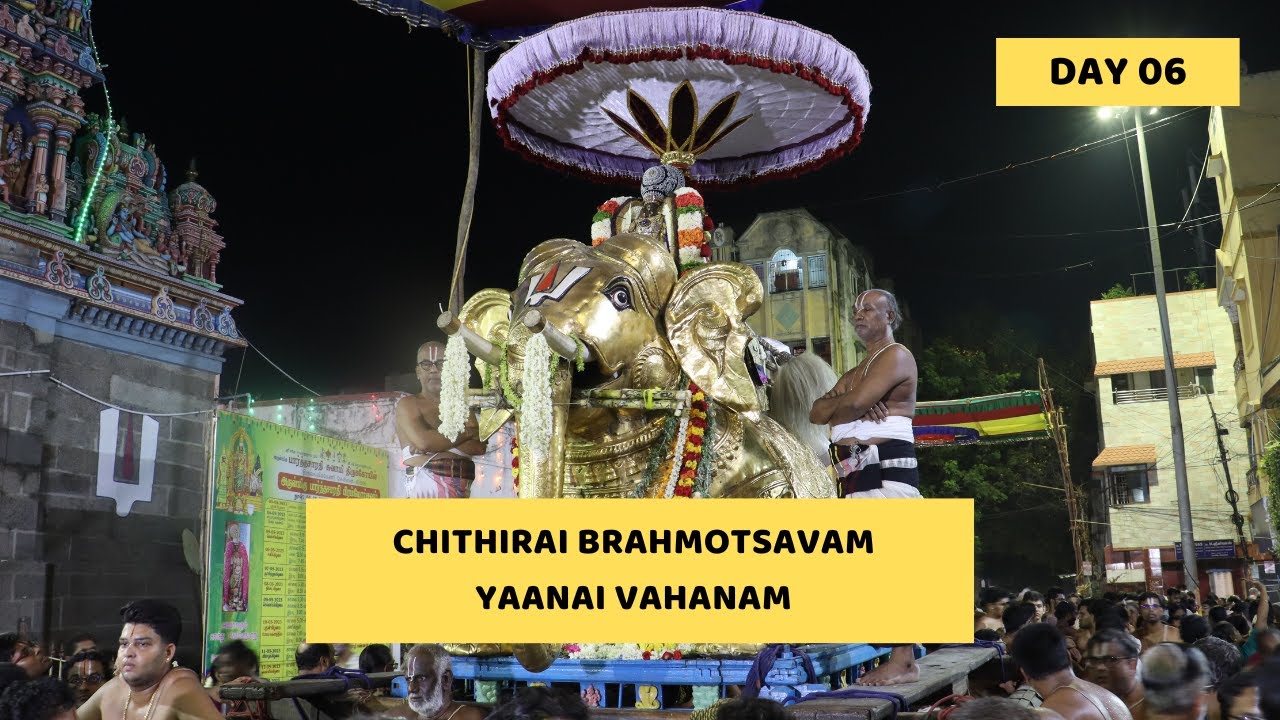 Yaanai Vahanvam | Yesal Oyyali Sri Parthasarathy Perumal Chithirai Brahmotsavam Day 06 | Divya Desam