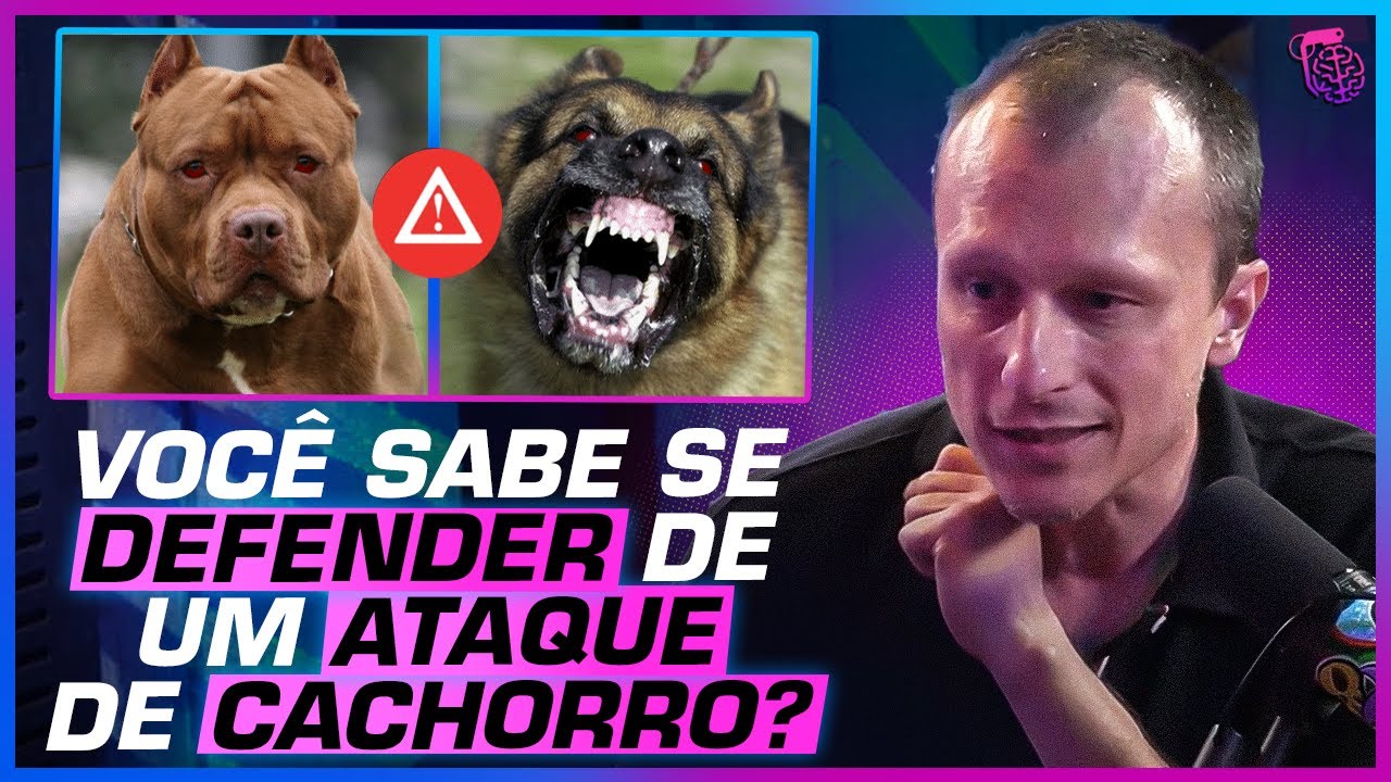 [PASSO A PASSO] TUDO o que você PRECISA SABER sobre ATAQUE de CÃES